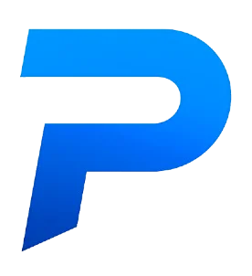 Paynch Logo